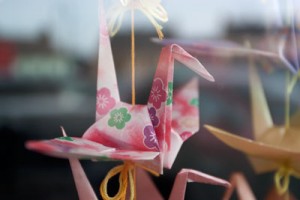 An origami bird decorating a shop window in Carndonagh